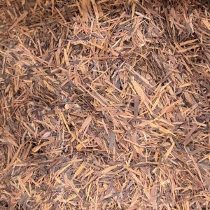 LAPACHO (PAU D’ARKO)